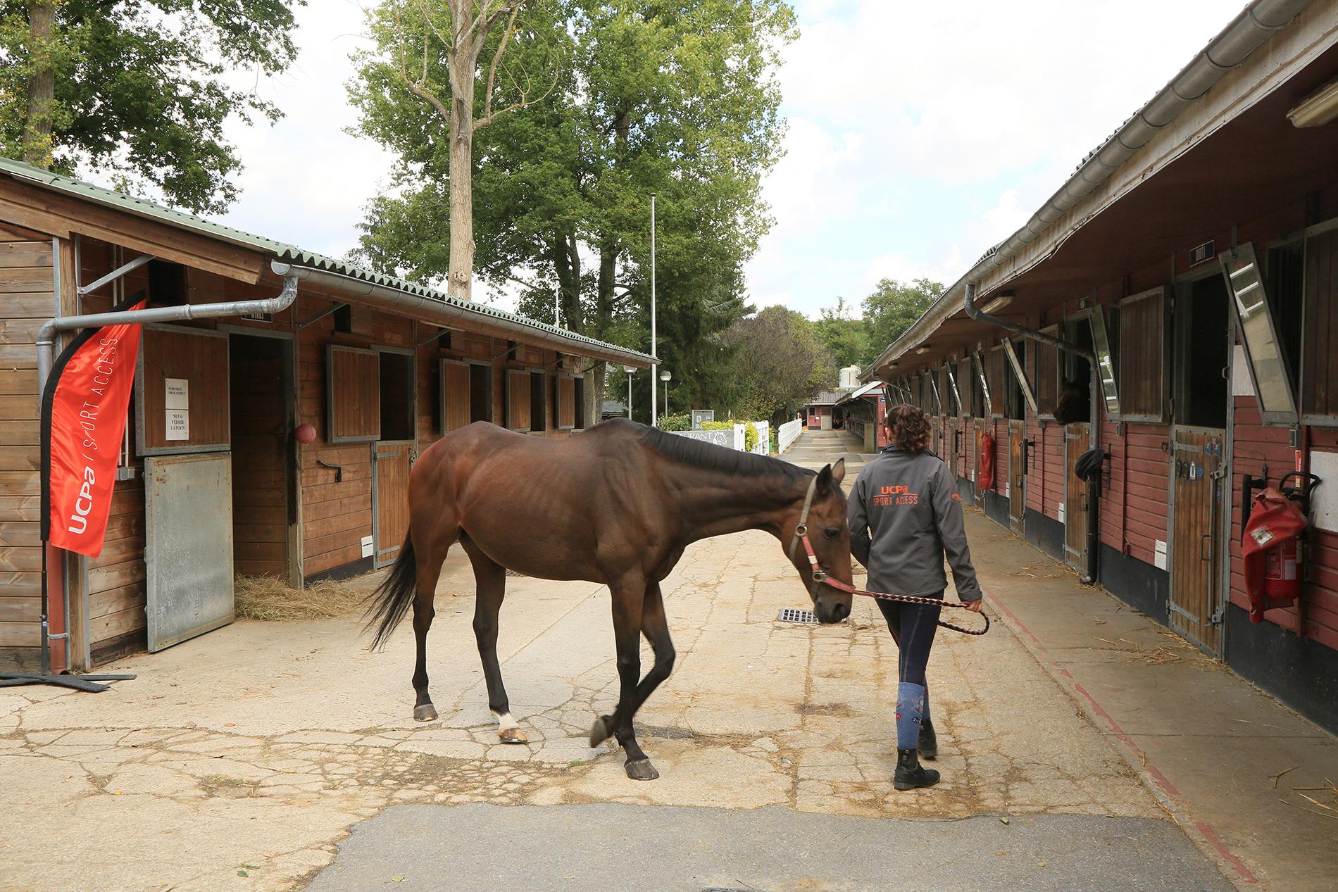 Centre équestre de SaintMaur Site officiel de SaintMaur